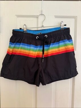 Knobs men’s 3” rainbow swim trunks (medium)